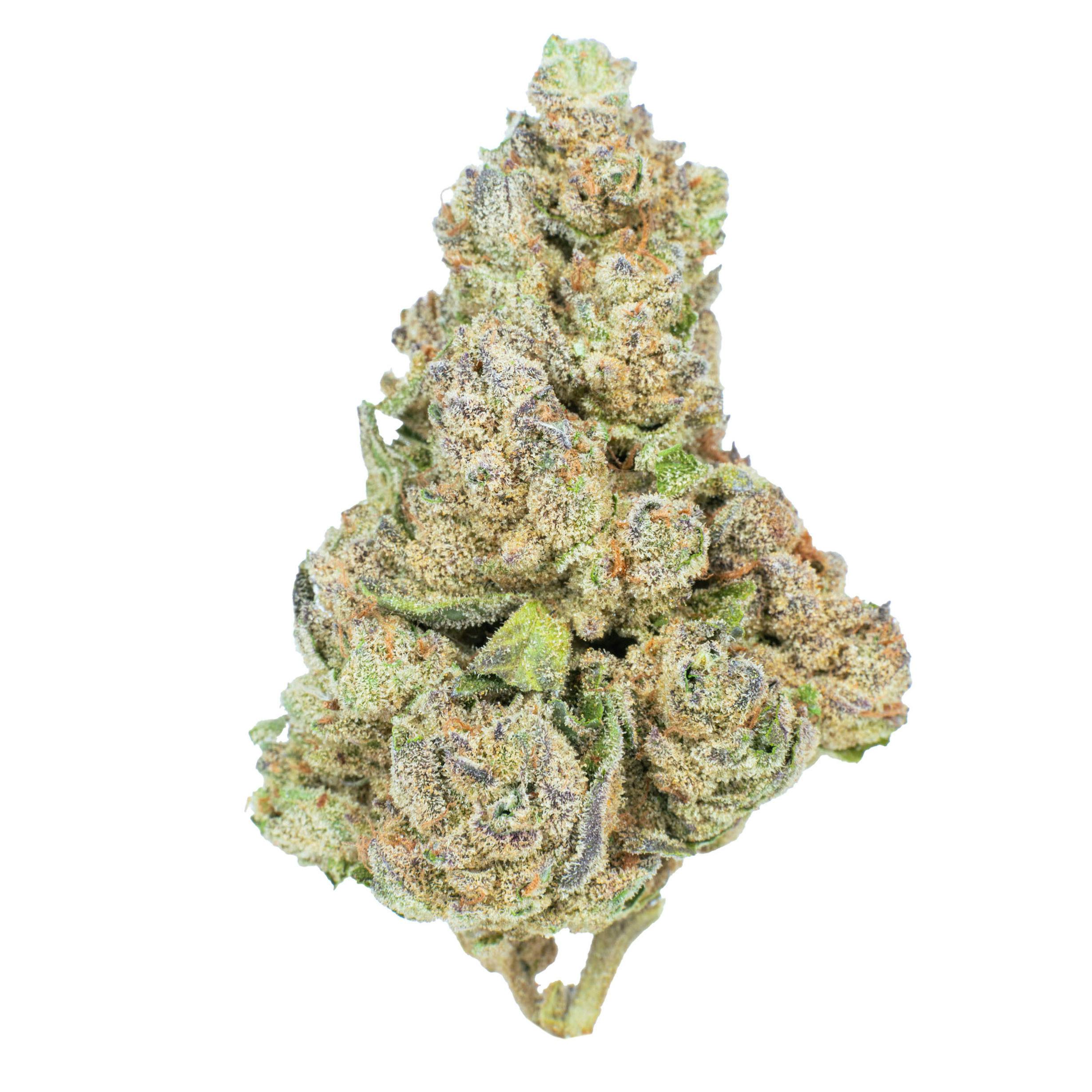 Burr's Place - Sugar Kush | Big Buds | 14g - 1