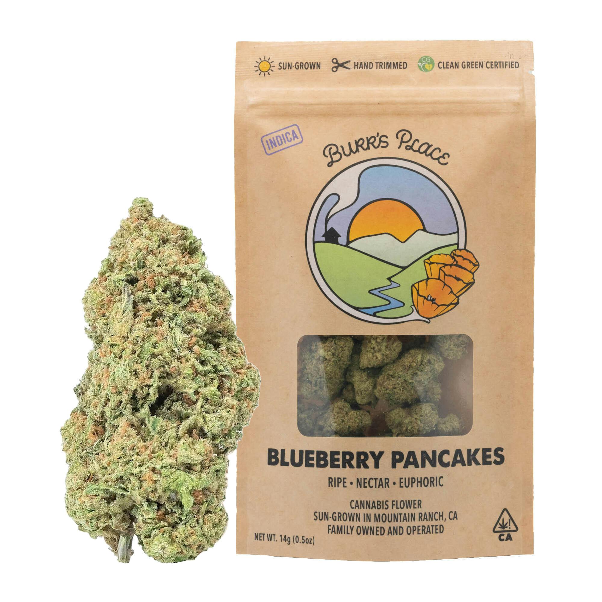 Burr's Place - Blueberry Pancakes | Big Buds | 14g - 1