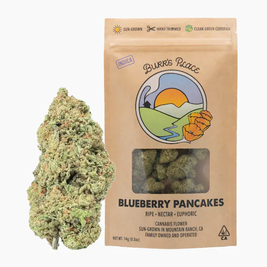 Burr's Place - Blueberry Pancakes | Big Buds | 14g - 1
