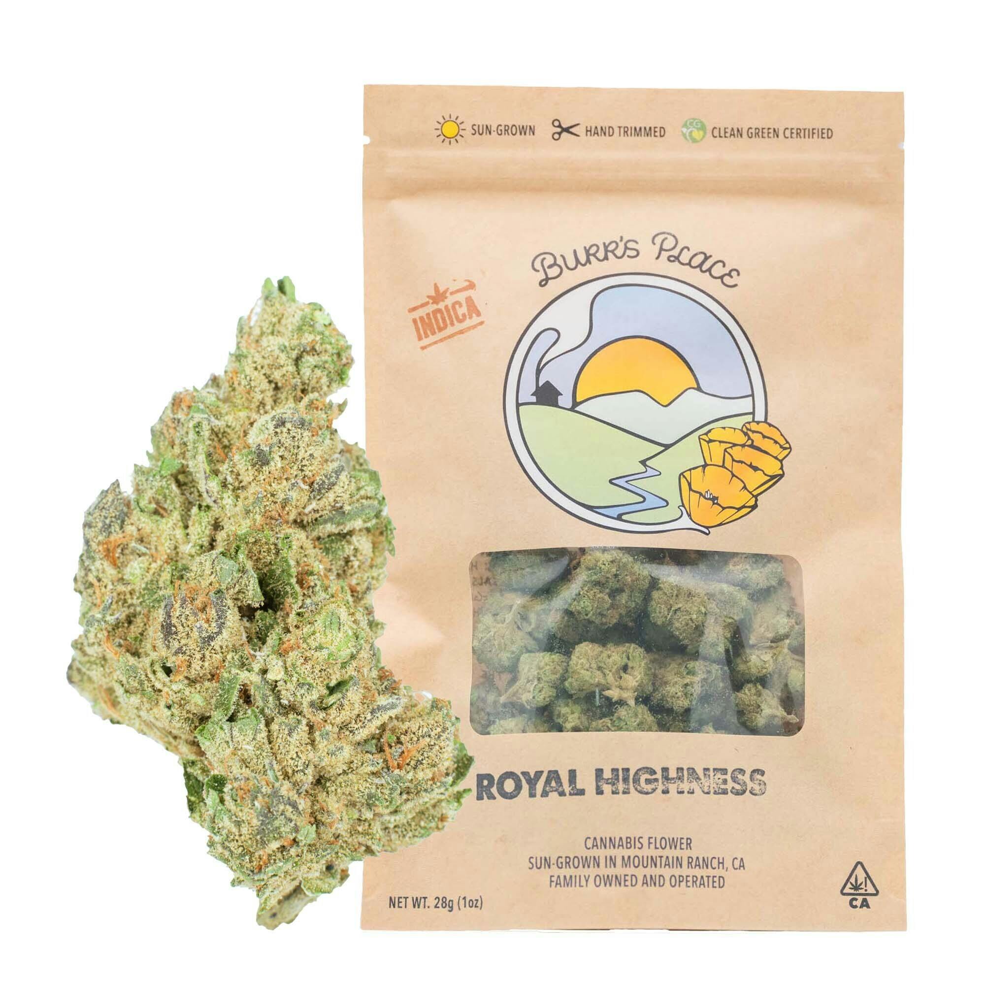 Burr's Place - Royal Highness | Big Buds | 28g - 1