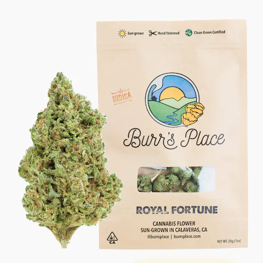 Burr's Place - Burr's Place | Royal Fortune | Big Buds | 28g - 1