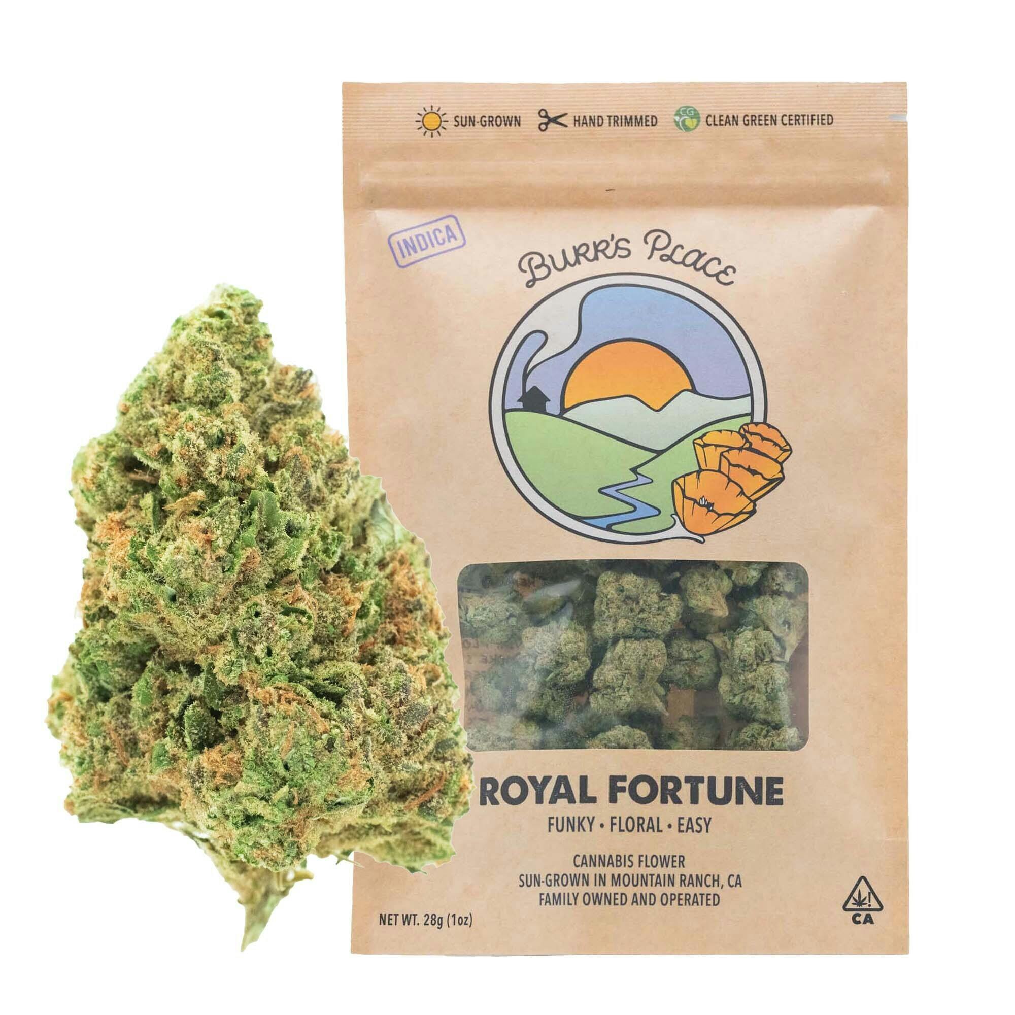 Burr's Place - Royal Fortune | Big Buds | 28g - 1