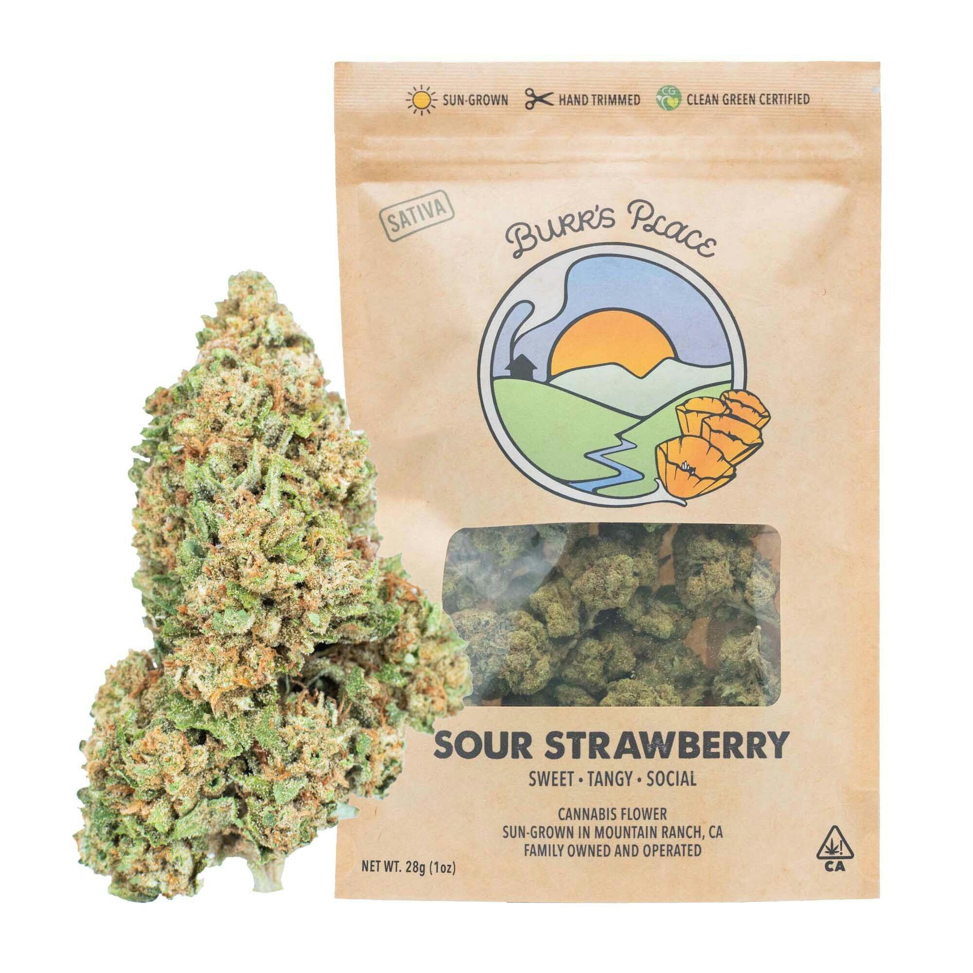Burr's Place - Sour Strawberry | Big Buds | 28g - 1