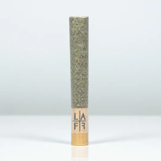 L.A. FAMILY FARMS - FUSIONZ - LEMOSA x ZAMOSA - 1