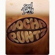 Seed Junky - Mocha Runtz | Joints | 1g - 1