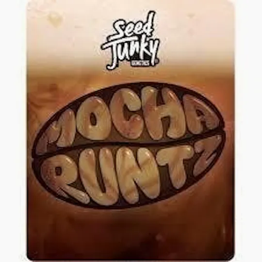 Seed Junky - Mocha Runtz | Joints | 1g - 1