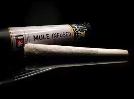 Mule Extracts - Mule Extracts | Lurps x Grapefruit Cherry | Infused Joint | 1g - 1
