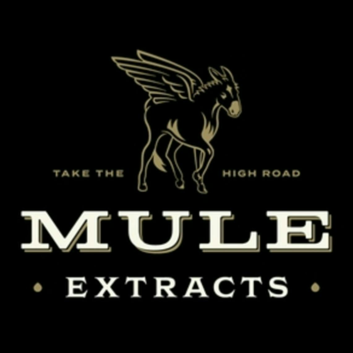 Mule Extracts - Curious Forge | Live Resin | 1g - 1