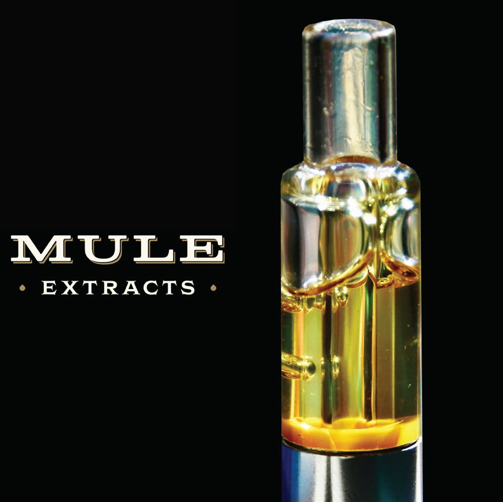 Mule Extracts - Mule Extracts | Blackberry Fire | Live Resin Glass Cartridge | 1g - 1