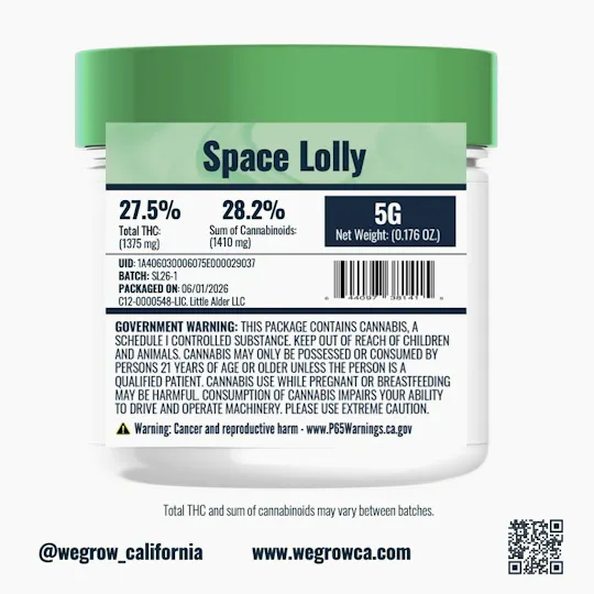 We Grow - We Grow | Space Lolly | Big Buds | 5g - 1