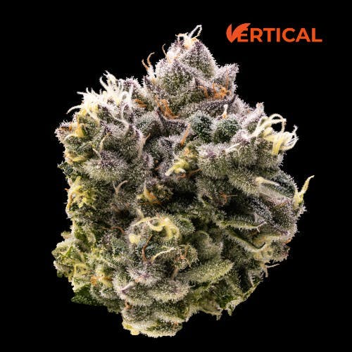 Vertical Cannabis - Vertical Cannabis | Nimbus Snacks | Minis | 0.5g each | 7pk - 1