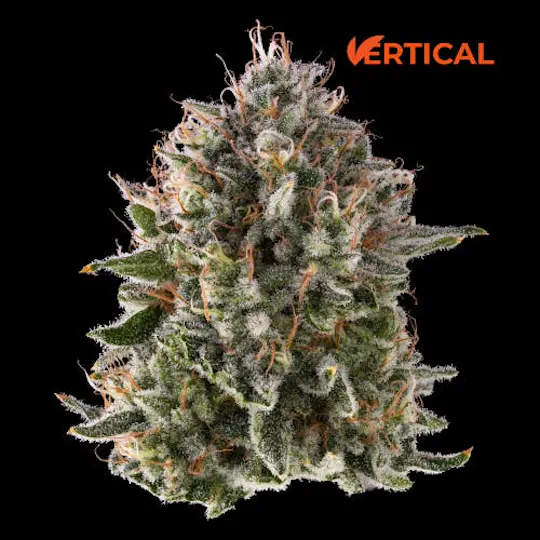 Vertical Cannabis - Vertical Cannabis | Pineapple Donut | Mini | 0.5g - 1