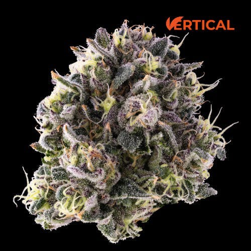 Vertical Cannabis - Vertical Cannabis | Grape Bubblegum | Big Buds - 1