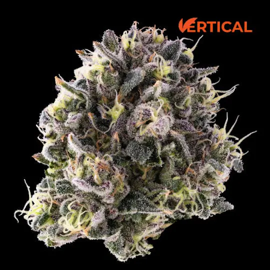 Vertical Cannabis - Vertical Cannabis | Grape Bubblegum | Big Buds - 1