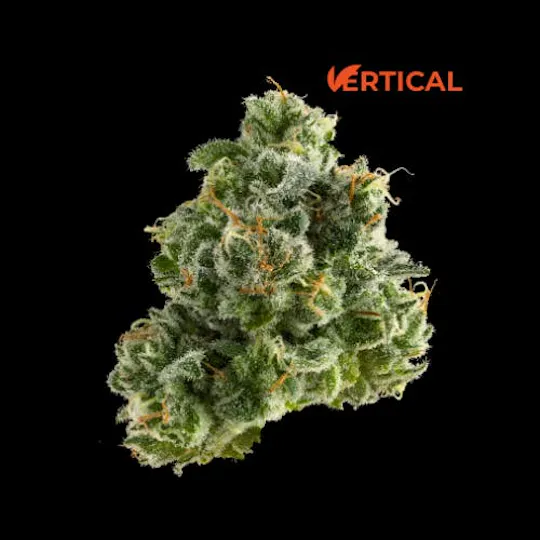Vertical Cannabis - Vertical Cannabis | Hypnotic | Minis | 0.5g each | 2pk - 1