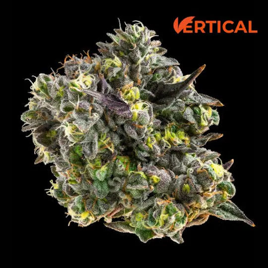 Vertical Cannabis - Vertical Cannabis | Gush Mints | Minis | 0.5g each | 2pk - 1
