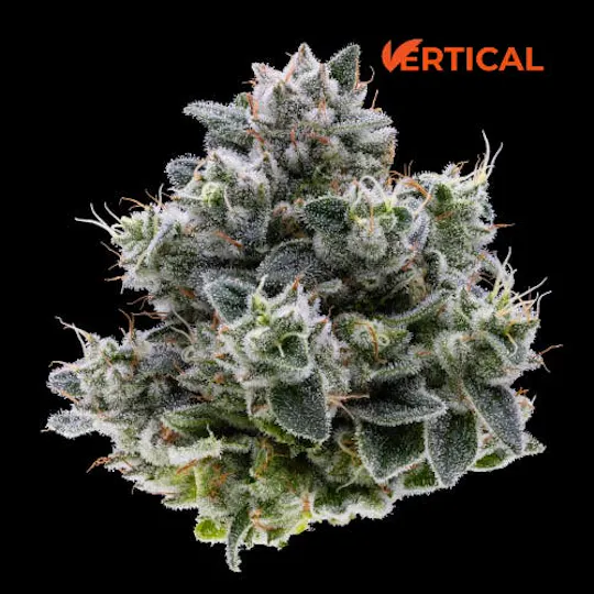 Vertical Cannabis - Vertical Cannabis | Original Glue | Mini | 0.5g - 1