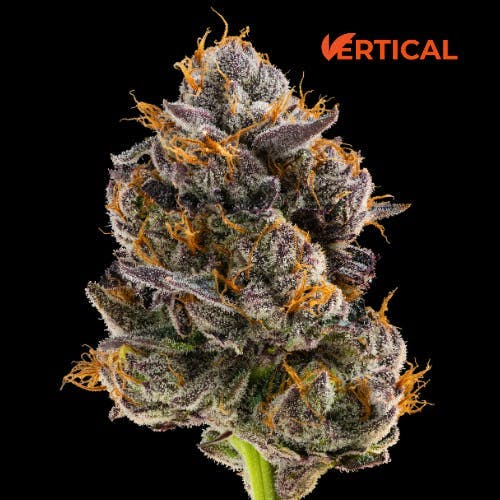 Vertical Cannabis - Vertical Cannabis | Blue Andeze | Minis | 0.5g each | 2pk - 1