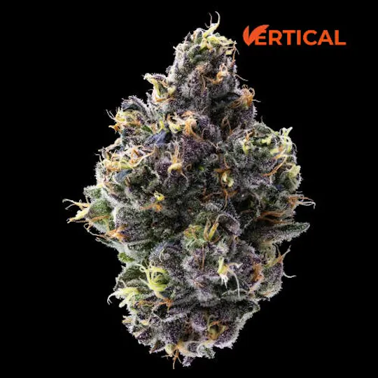 Vertical Cannabis - Vertical Cannabis | Gelato 33 | Minis | 0.5g each | 2pk - 1