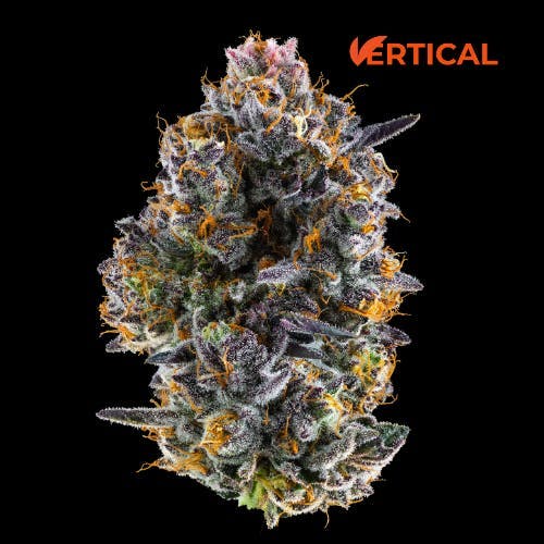 Vertical Cannabis - Vertical Cannabis | Applescotti | Minis | 0.5g each | 2pk - 1