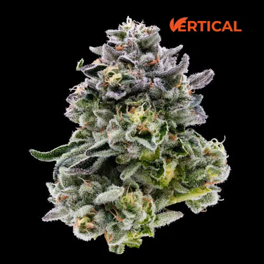 Vertical Cannabis - Vertical Cannabis | Heir Heads | Big Buds - 1
