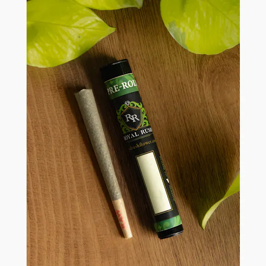 Royal Rush - Royal Rush Pre-Roll 1.2g - Tsunami (S) - 1