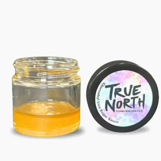 True North Collective MI - True North Collective | Orange Punch | Live Sugar Sauce | 3.5g - 1