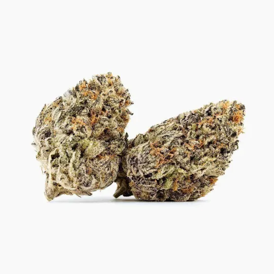 Distro 10 - Lava Cake | Big Buds | 1g - 1