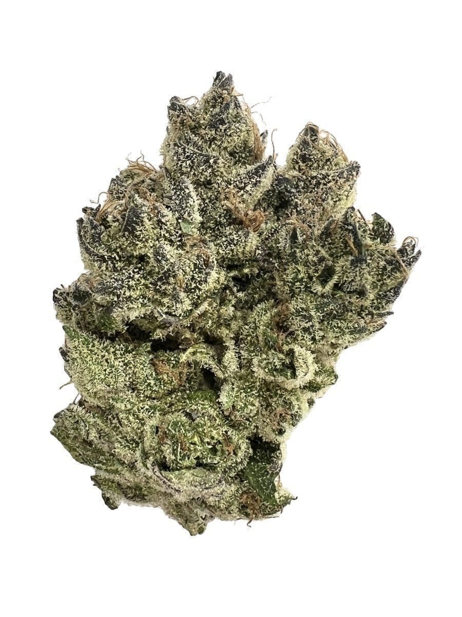 Distro 10 - Dog Walker | Big Buds | 3.5g - 1