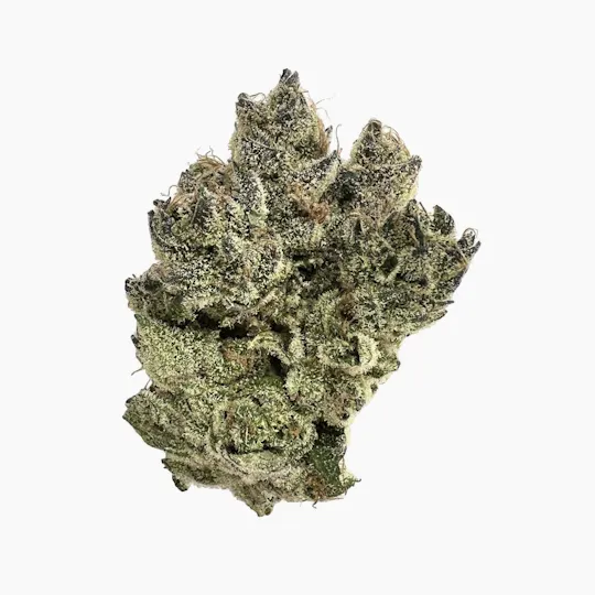 Distro 10 - Dog Walker | Big Buds | 3.5g - 1
