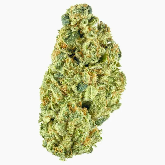 Distro 10 - Lime Heads | Big Buds | 1g - 1