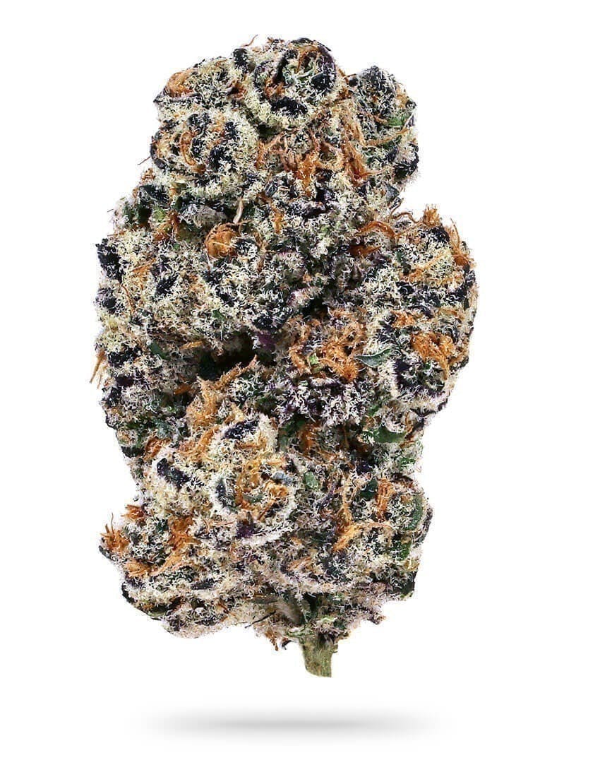 Distro 10 - Slap N Tickle | Big Buds | 1g - 1