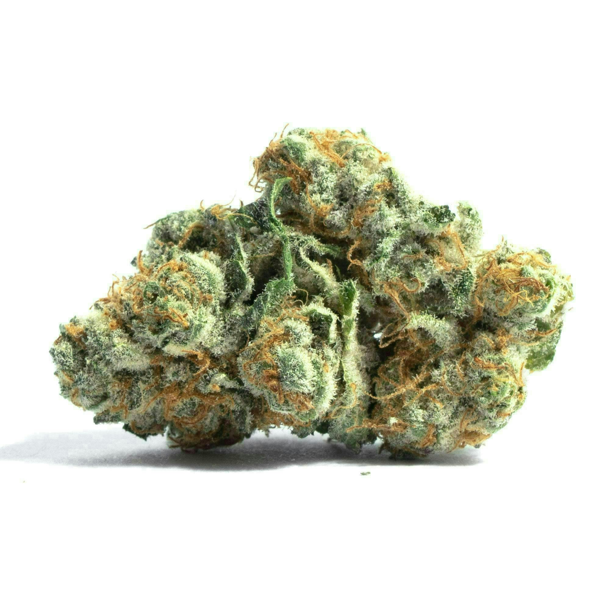 Distro 10 - Sprinkles | Big Buds | 1g - 1
