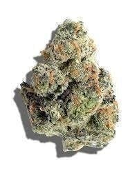 Distro 10 - Grapple Pie | Big Buds | 1g - 1