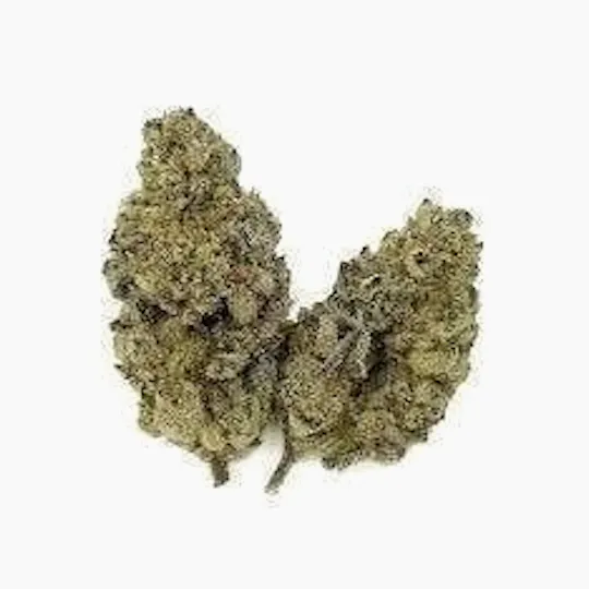 Distro 10 - Glitter Bomb | Big Buds | 1g - 1