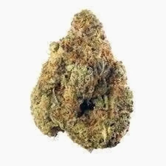 Distro 10 - Hindu Kush | Big Buds | 28g - 1