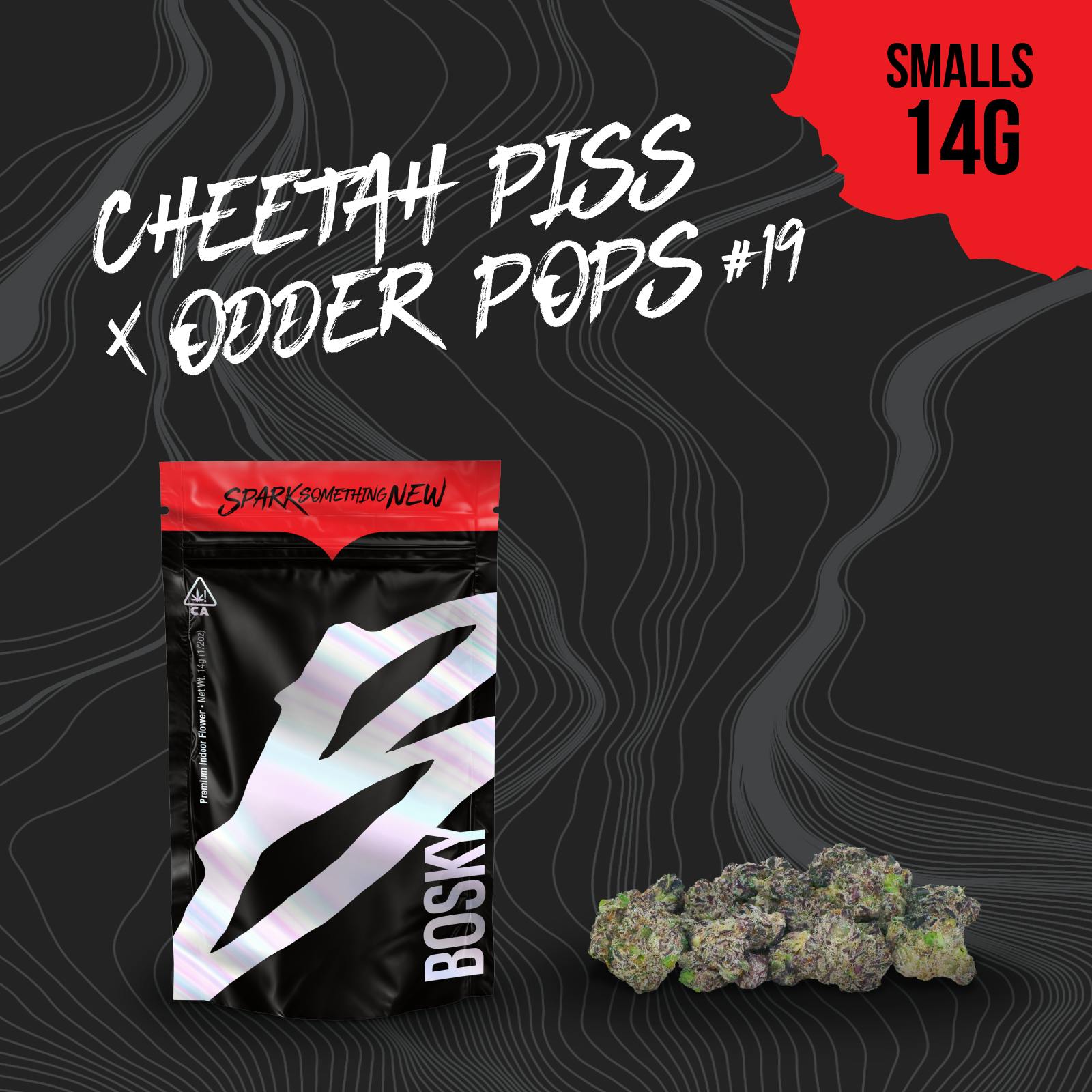 Bosky Genetics - BOSKY | Cheetah Piss x Odder Pops #19 | Small Buds | Fruits | 14g - 1