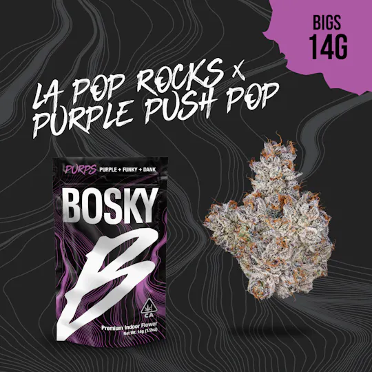 Bosky Genetics - BOSKY | LA Pop Rocks x Purple Push Pop | Big Buds | Purps | 14g - 1