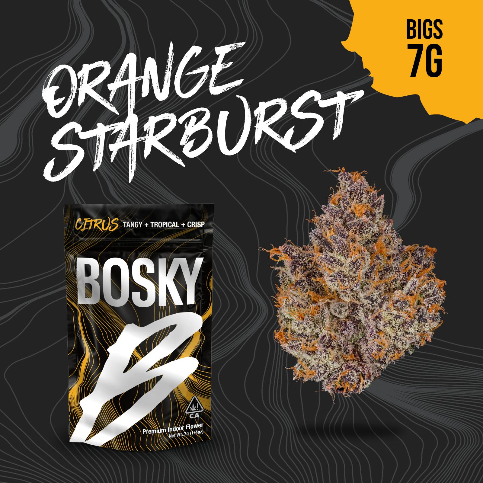 Bosky Genetics - BOSKY | Orange Starburst | Big Buds | Citrus | 7g - 1