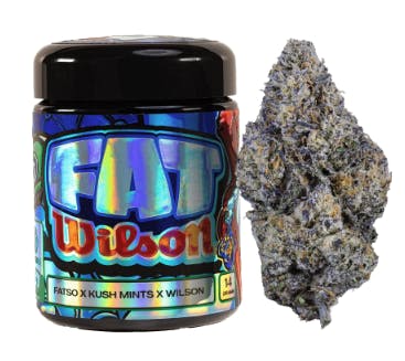 Freshy Fine - Fat Wilson | Big Buds | 14g - 1