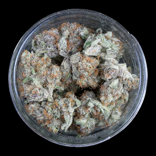 Indico - Forbidden Blueprint - FRAKTAL Cannabis - 1