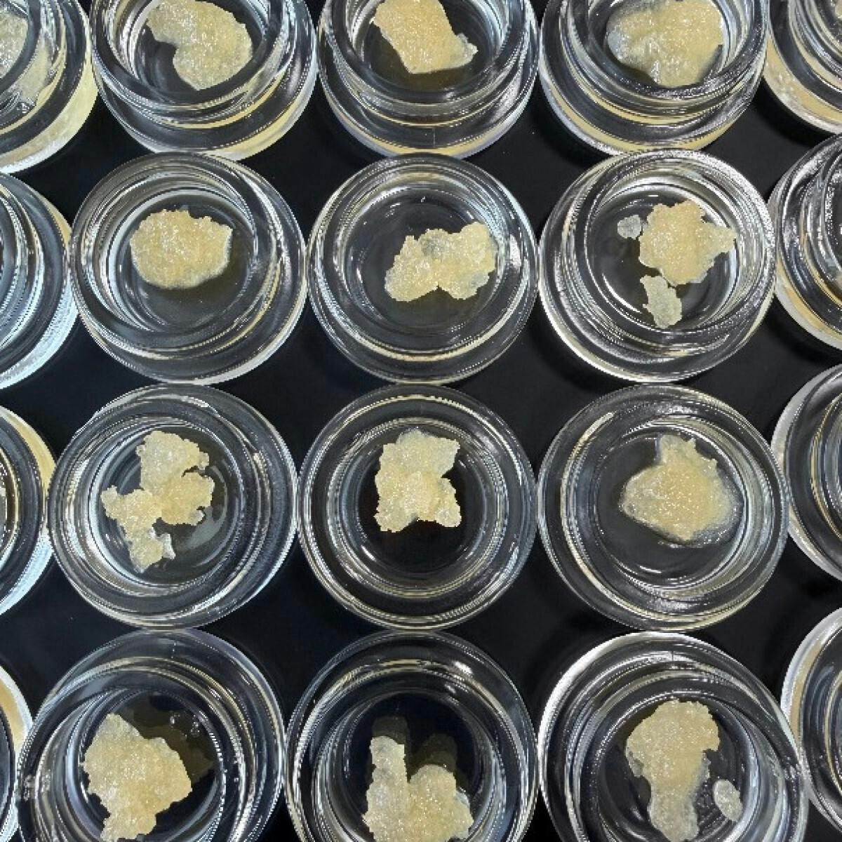 Fireweed Extracts - Sour Honey Terp Sugar 0.5g - 1