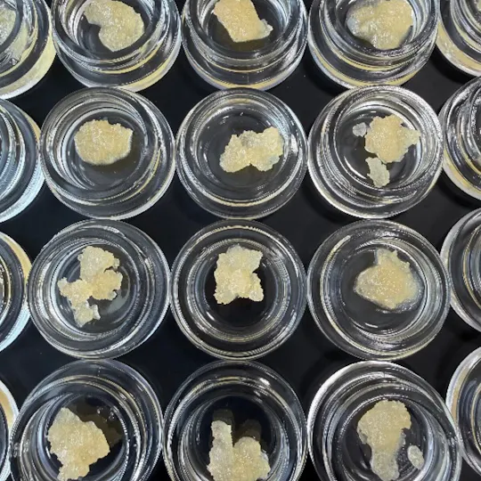 Fireweed Extracts - Sour Honey Terp Sugar 0.5g - 1