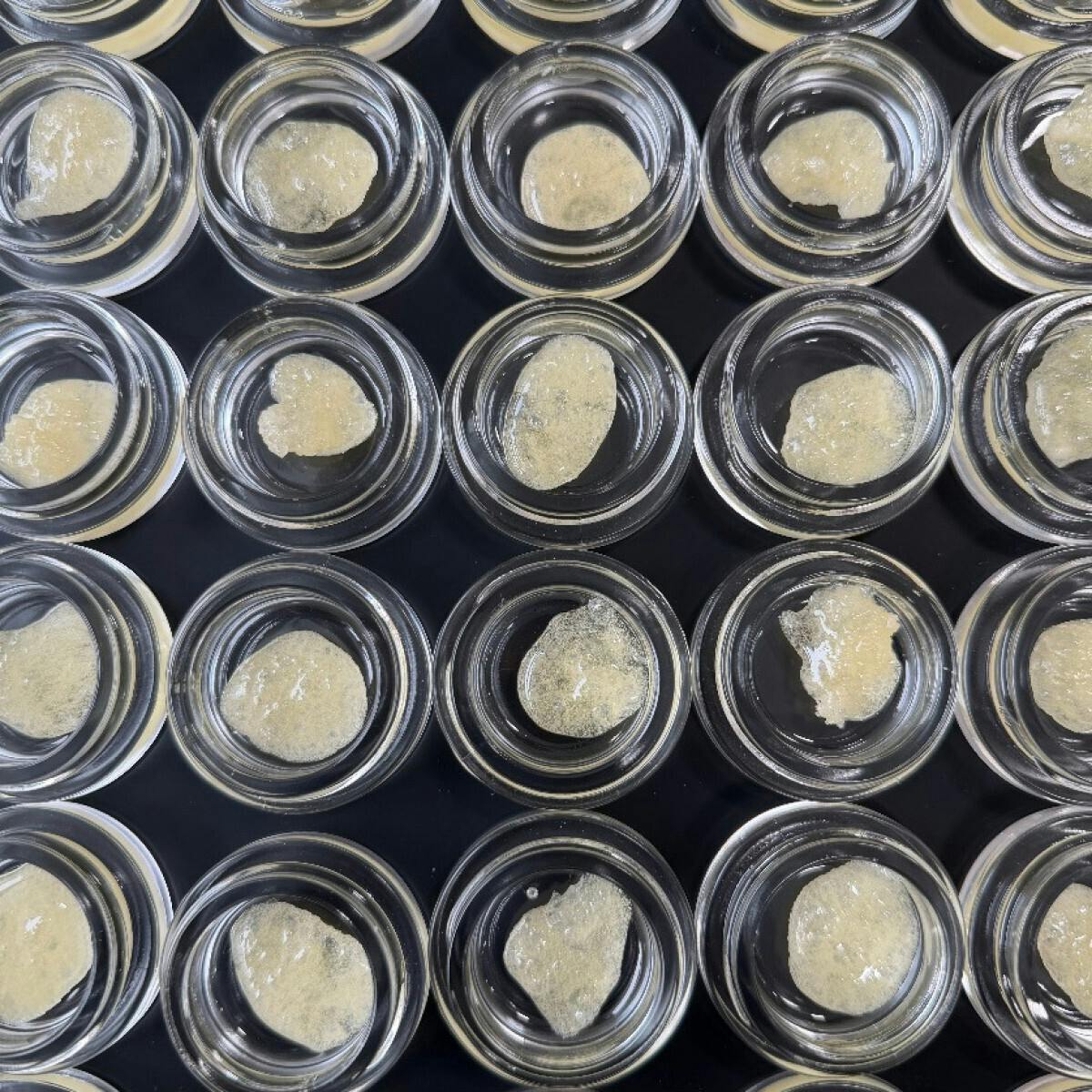 Fireweed Extracts - Skunky Banana Terp Sugar 1g - 1