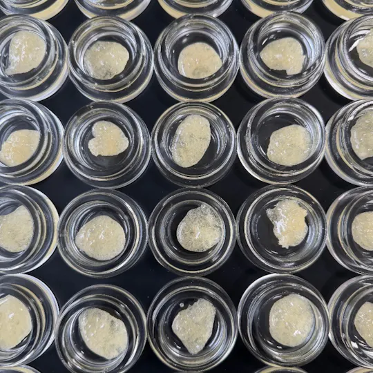 Fireweed Extracts - Skunky Banana Terp Sugar 1g - 1