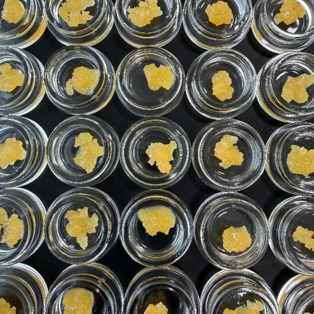 Fireweed Extracts - Garlic Sluricane Terp Sugar 0.5g - 1
