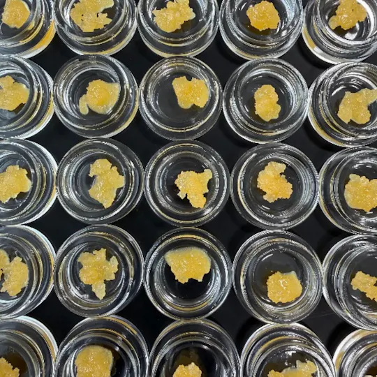 Fireweed Extracts - Garlic Sluricane Terp Sugar 1g - 1