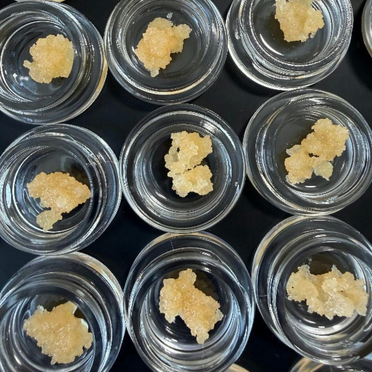 Fireweed Extracts - Mango Cream Terp Sugar 1g - 1