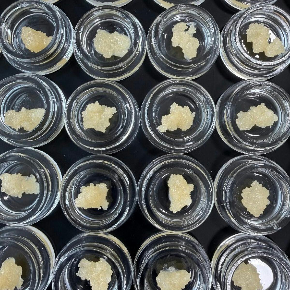 Fireweed Extracts - Platinum Kush Terp Sugar 0.5g - 1