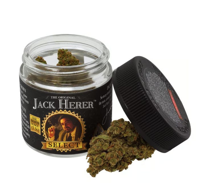 Jack Herer™ Brands - Jack Herer Select | Lemon Cherry Pie | Big Buds | 3.5g - 1